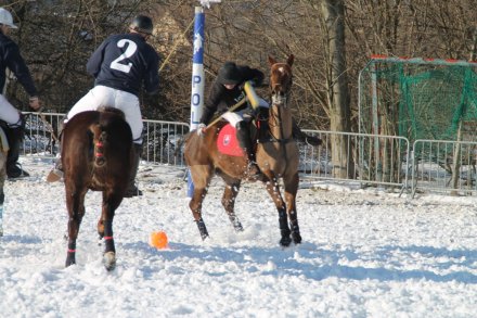 Zawodnicy Snow Polo